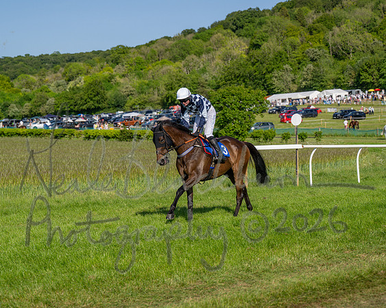 Race 6 - Maiden (15 of 108)