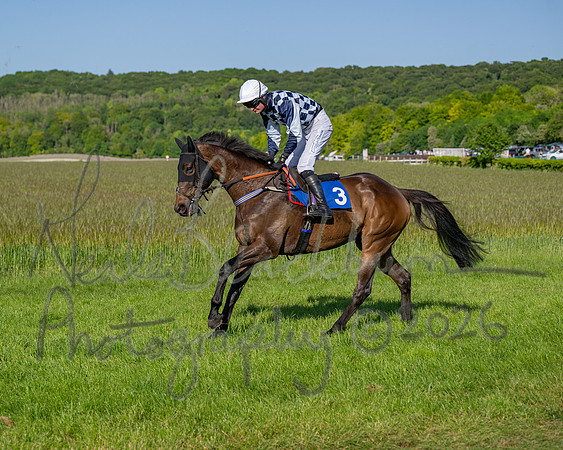 Race 6 - Maiden (16 of 108)