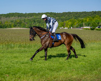 Race 6 - Maiden (17 of 108)