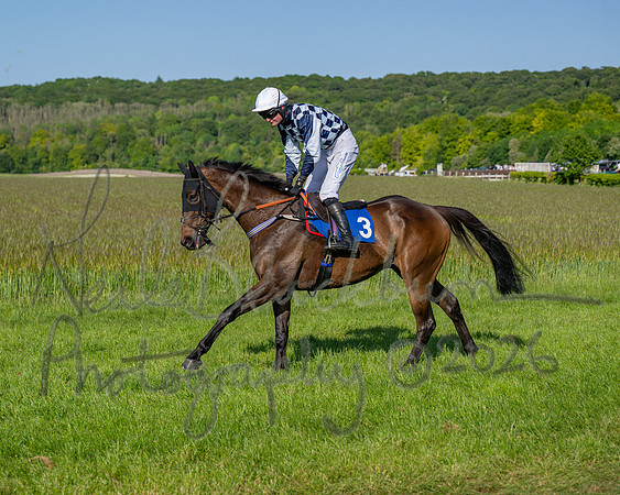 Race 6 - Maiden (17 of 108)