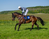Race 6 - Maiden (19 of 108)