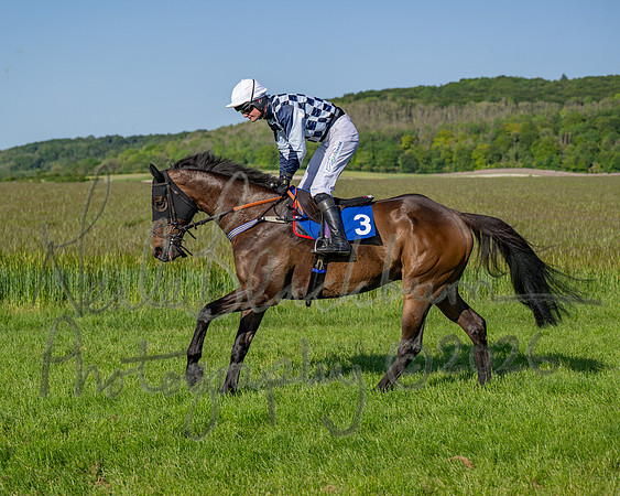 Race 6 - Maiden (19 of 108)
