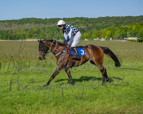 Race 6 - Maiden (18 of 108)