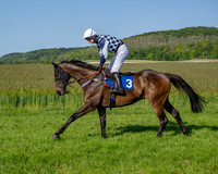 Race 6 - Maiden (20 of 108)