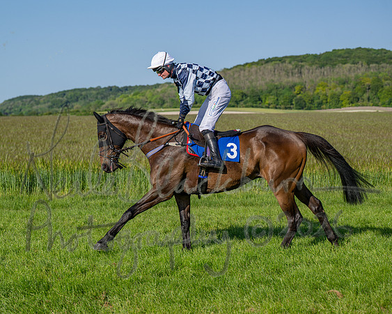 Race 6 - Maiden (20 of 108)