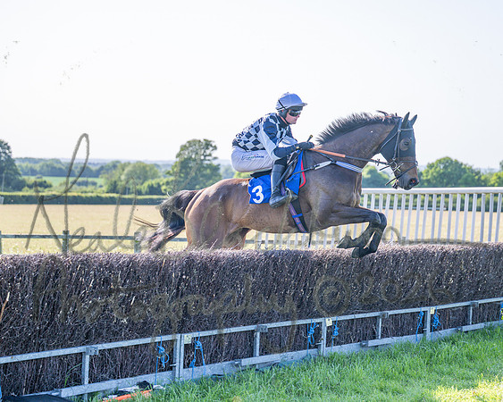 Race 6 - Maiden (22 of 108)