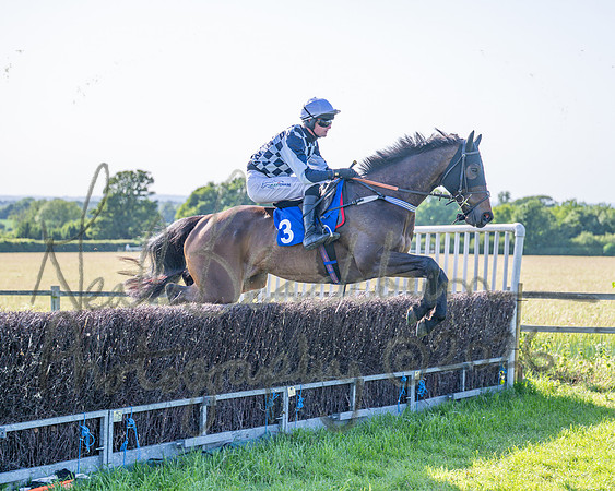 Race 6 - Maiden (23 of 108)