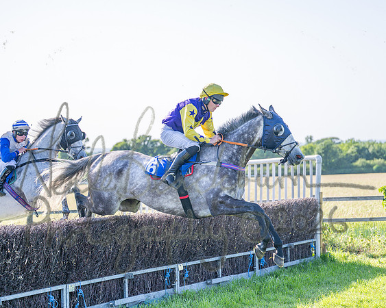 Race 6 - Maiden (29 of 108)
