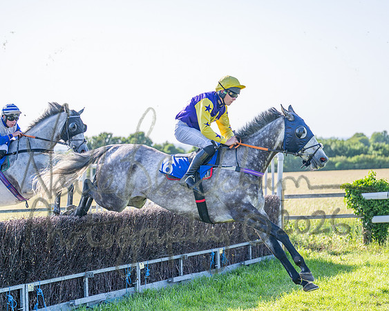 Race 6 - Maiden (30 of 108)