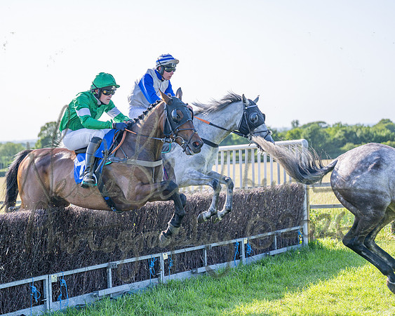 Race 6 - Maiden (31 of 108)