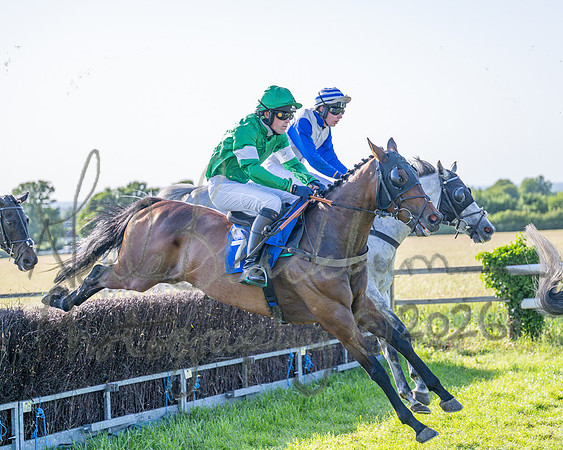 Race 6 - Maiden (33 of 108)