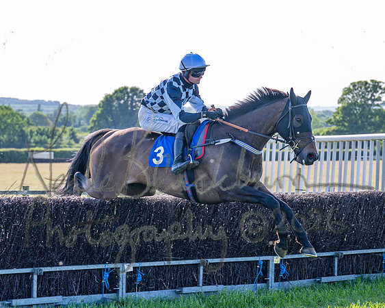 Race 6 - Maiden (40 of 108)