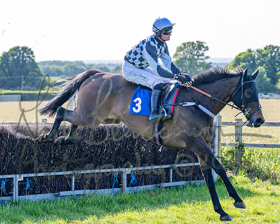 Race 6 - Maiden (42 of 108)