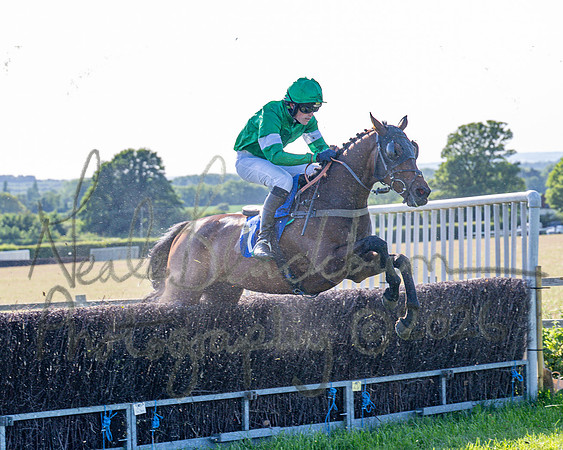 Race 6 - Maiden (51 of 108)