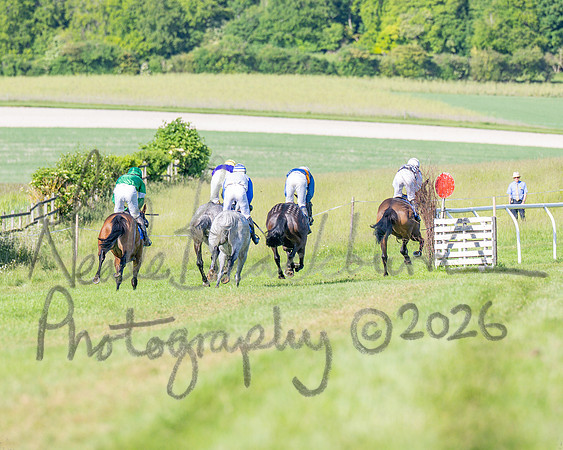 Race 6 - Maiden (56 of 108)