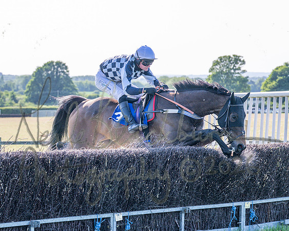 Race 6 - Maiden (59 of 108)