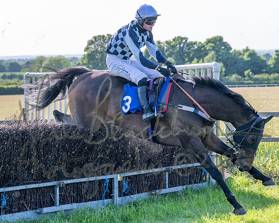 Race 6 - Maiden (62 of 108)
