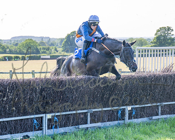 Race 6 - Maiden (63 of 108)