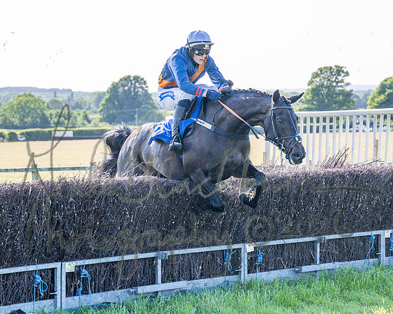 Race 6 - Maiden (64 of 108)