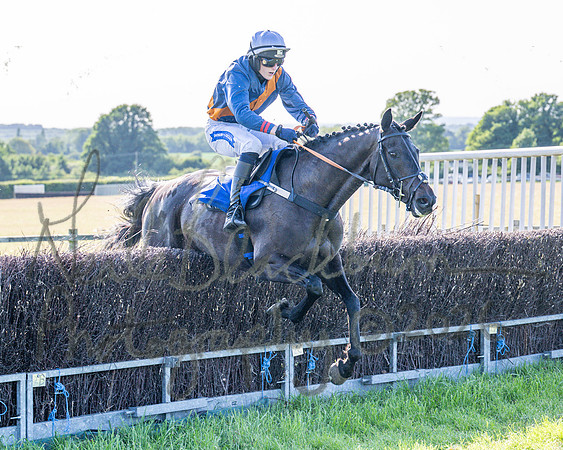 Race 6 - Maiden (65 of 108)