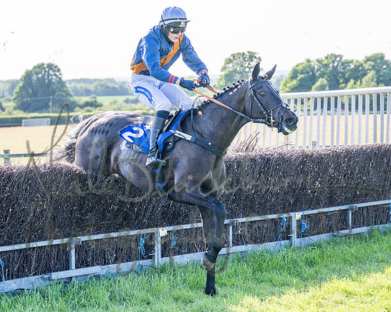 Race 6 - Maiden (66 of 108)
