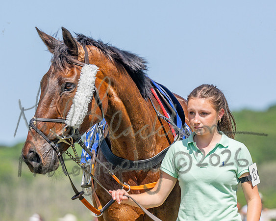 Race 2 - Novice Riders (6 of 94)