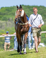 Race 2 - Novice Riders (7 of 94)