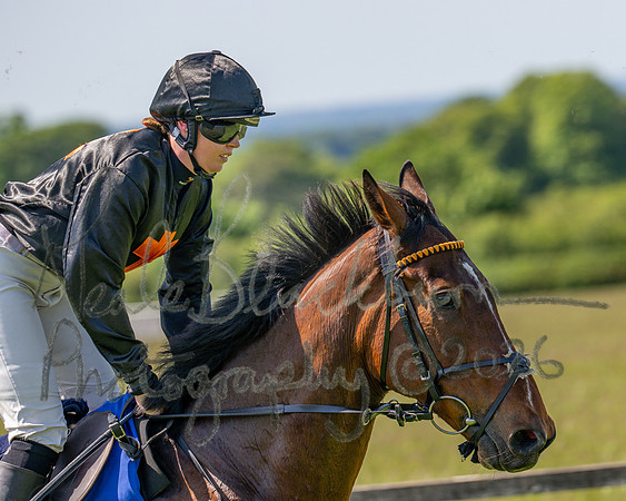 Race 2 - Novice Riders (19 of 94)
