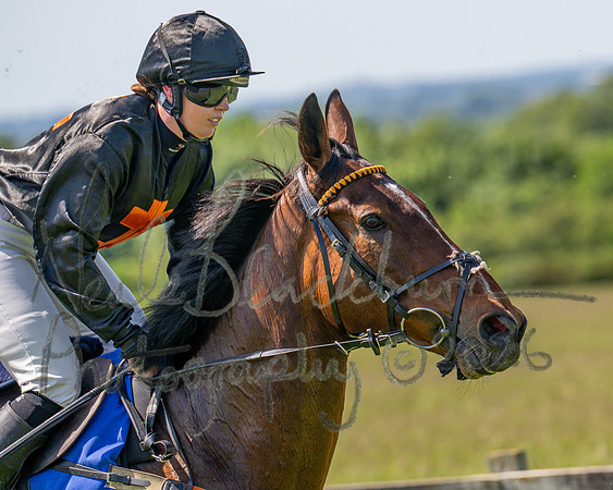 Race 2 - Novice Riders (18 of 94)