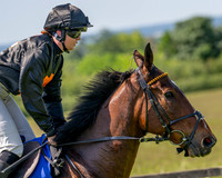Race 2 - Novice Riders (20 of 94)