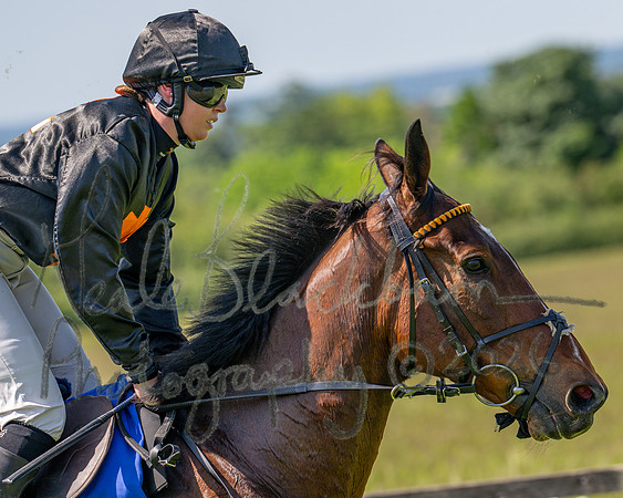 Race 2 - Novice Riders (20 of 94)