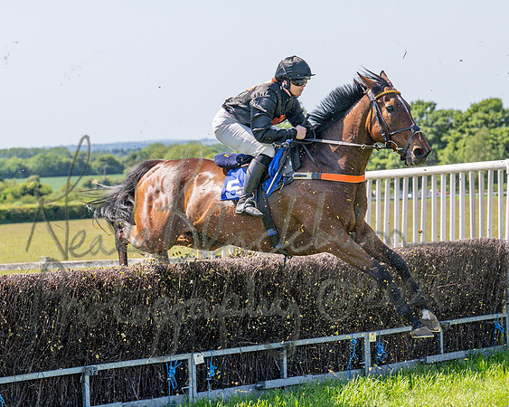 Race 2 - Novice Riders (50 of 94)