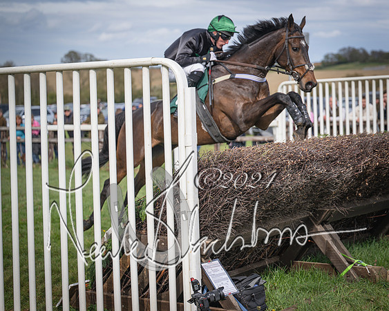 Race 4 - Bicester Gold Cup mixed Open (37 of 89)