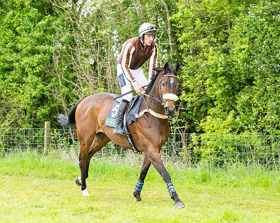 Race 2 - 2M4F Conditions (34 of 195)