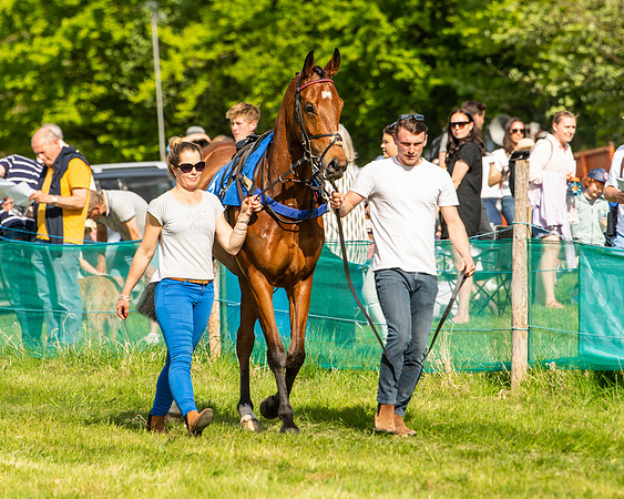 Race 6 - Maiden [2m4f] (3 of 135)