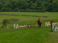 Hounds - 1