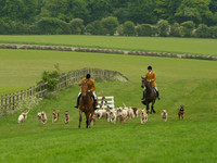 Hounds - 2