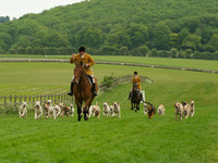 Hounds - 3
