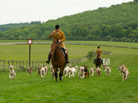 Hounds - 4