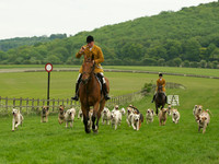 Hounds - 5