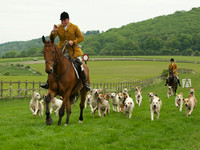 Hounds - 6