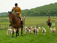 Hounds - 7