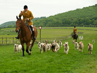 Hounds - 8