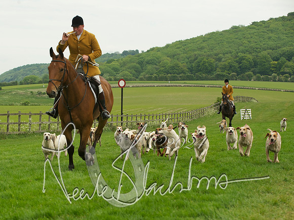 Hounds - 8
