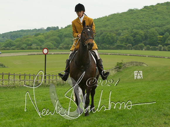 Hounds - 16
