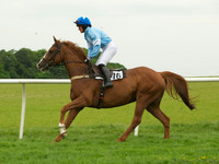 Ladies - 12