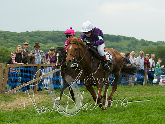 Pony Race 1 - 15