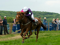 Pony Race 1 - 16