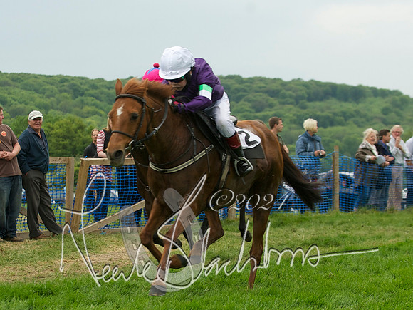 Pony Race 1 - 16