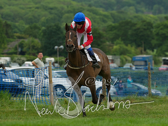 Pony Race 2 - 1